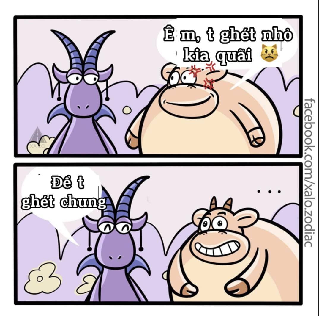 MA KẾT X KIM NGƯU