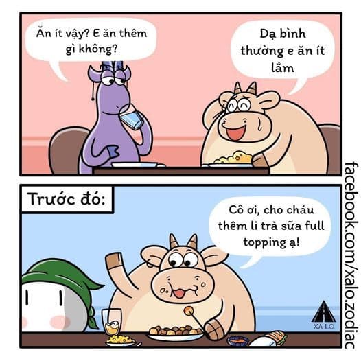 MA KẾT x KIM NGƯU